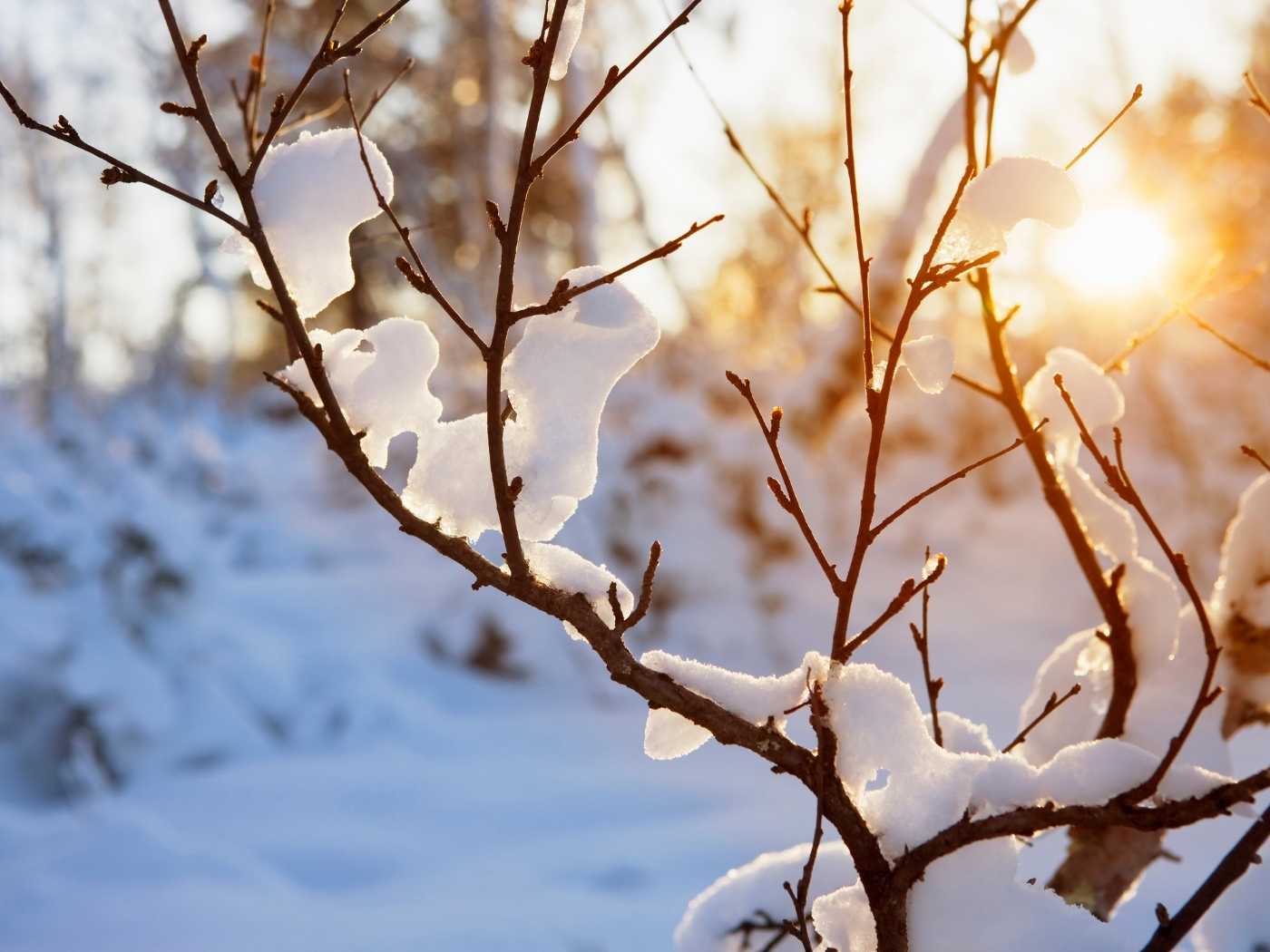 Die Seele braucht Gelb! Licht und Wärme für die Seele im Winter