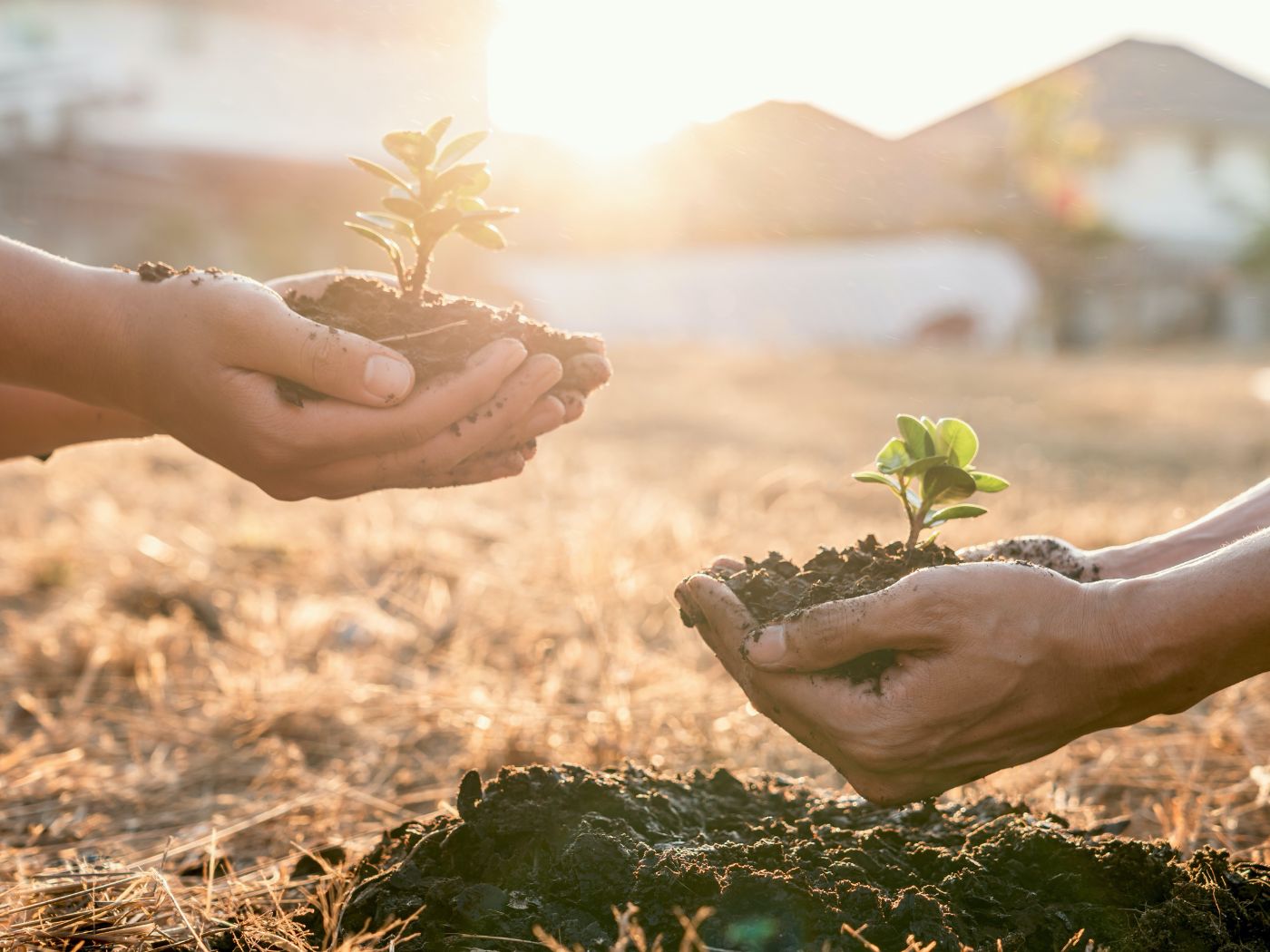 Mentale Regeneration – Zeit für eine Auffrischung!