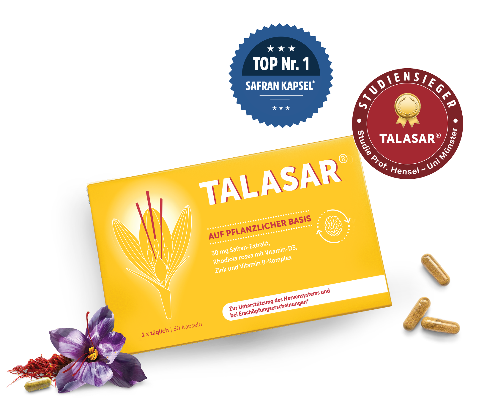 Talsar Talasar Angebot