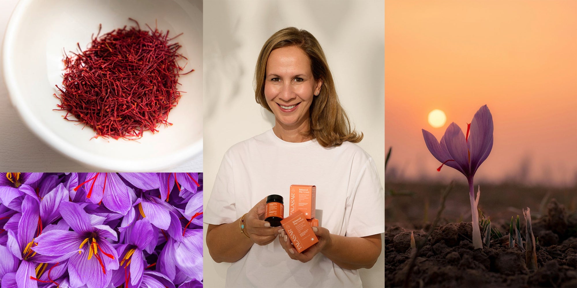 Links sieht man Safranfäden in einer Schüssel, darunter die Blüte des Safran. In der Mitte hält die Gründerin Mana Rezvani das Produkt Balanced Day in der Hand und lächelt. Ganz rechts steht eine Safran Blüte auf einem Feld im Sonnenuntergang.