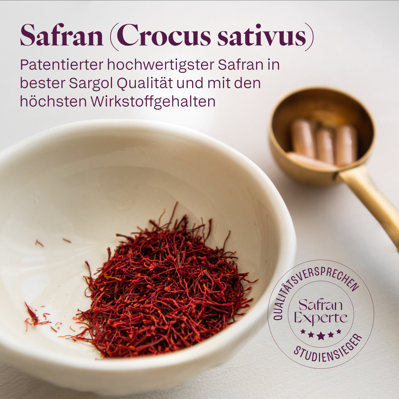 Safranfäden Crocus sativus in Sargol Qualität in weißer Schale, Basis für TALASAR Balanced Day